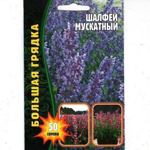 ���� ������ ���������, ����������� ( 1 ��: 50 ����� ) ������ ������