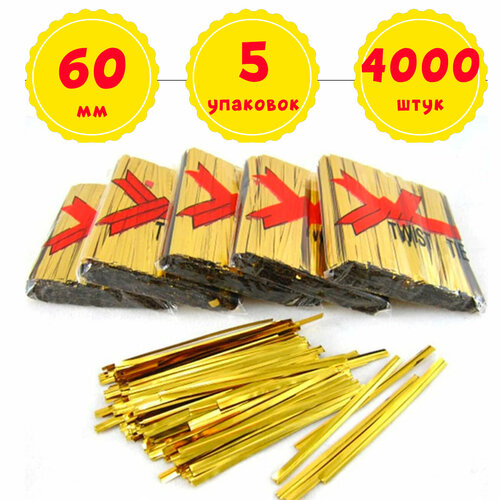 ���� 4000 ���������-�������� ������ 60 �� ����������� ����� ��� �������, �������� ������� (5 �������� �� 800 ��) ������ ������