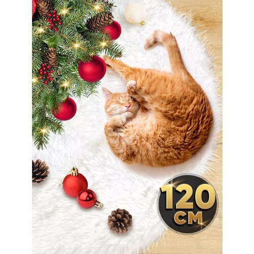 ���� ������ ��� ���� ���������� ���� ��� ���� �����, 120 �� ������ ������