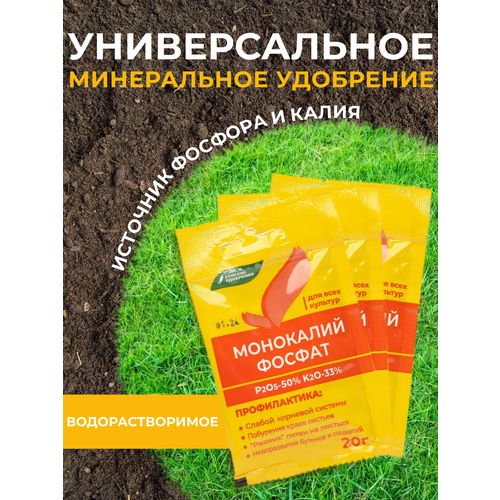 ���� ���������� ����� 20� 3�� ������ ������