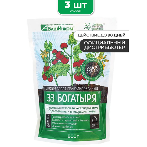 ���� ��������� 33 �������� � �������� 3 �� ������ ������