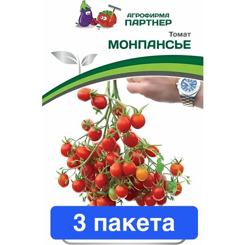 ���� ������ ������ ��������� ������� 