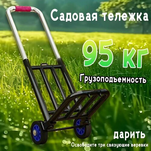 ���� ������� ������� ������ ������