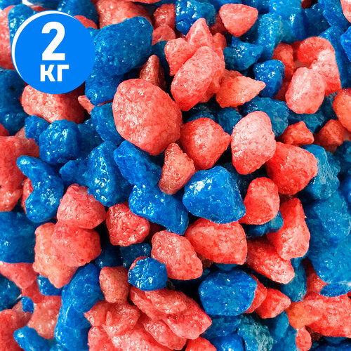 ���� ����������� ����� ��� ��������, ����������� � ��������, Zoo One, ��������� ��������, 