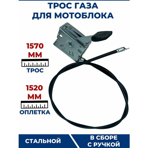 ���� ���� ���� ��� ��������� 1520 ��, � ����� � ������ ������ ������