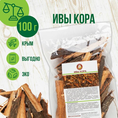 ���� ���� ��� �����, 100� ������ ������