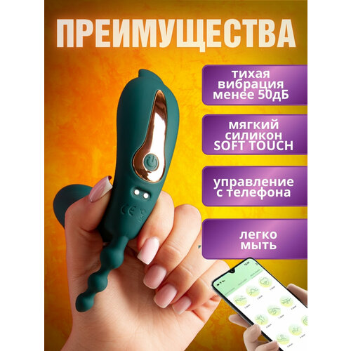 ���� �������� 