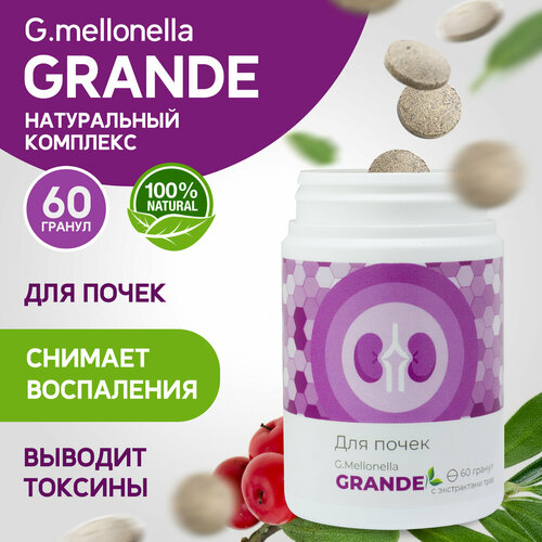 ���� ������� ����� - ��� �����, ������������� �������, ��������� ����� � ������, �� ������ 60 ������. ������ ������