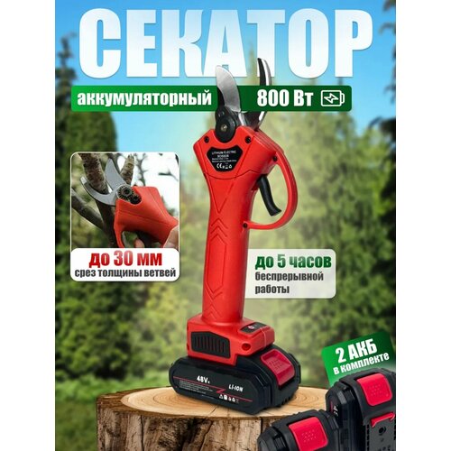 ���� ������������� ������������ �������, � ����� �������������� � ������, ������� ������� �������������� ������ ������