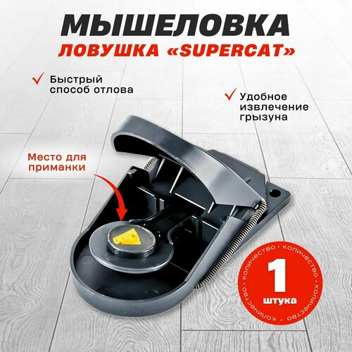 ���� ����������� ��������� SuperCat, 1 ��. ������ ������