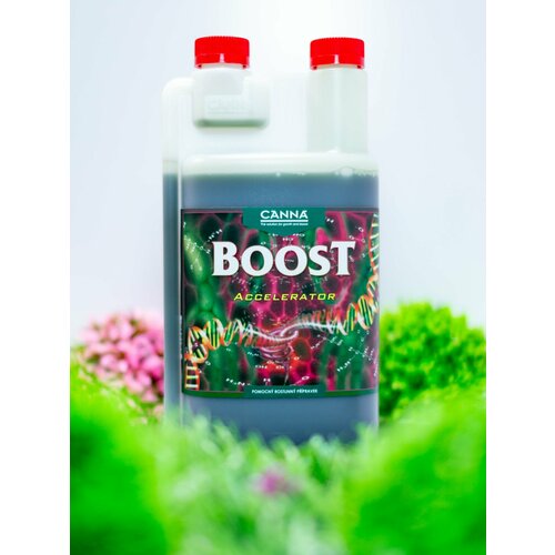 ���� ��������� - ���������� CANNABOOST Accelerator 1 � ������ ������