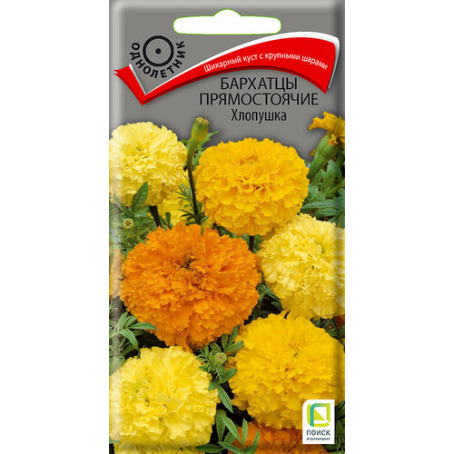 ���� ������ �������� ������������ �������� 0,4� (�����) ������ ������