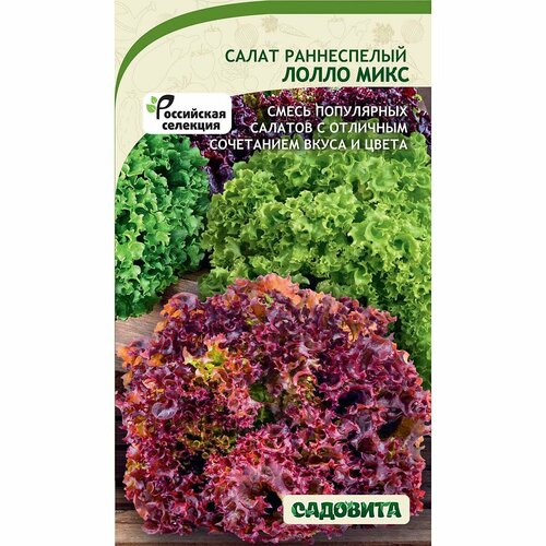 ���� ������ ������ ����������� 