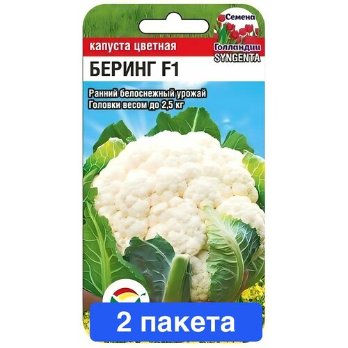 ���� ������ ������ ��������� ��� 