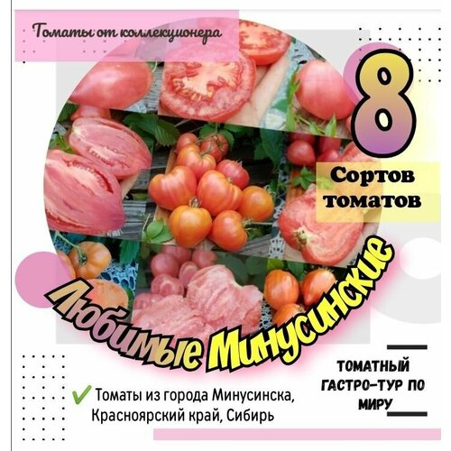 ���� ����� ������� 