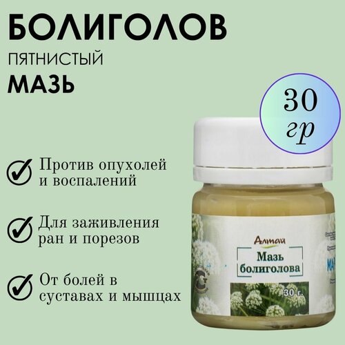 ���� ���� ���������� ������ ������