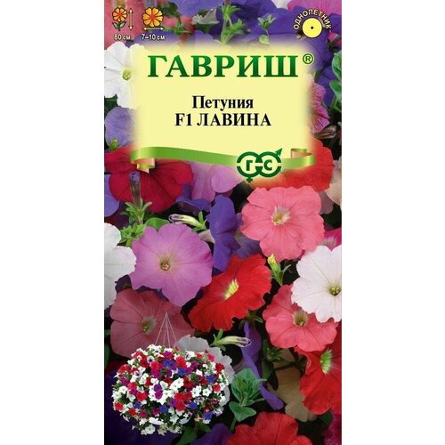 ���� ������ ������� ������ ��������� 7�� ��� ����� 80�� (������) ������ ������