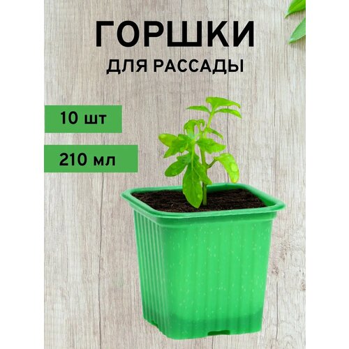 ���� ������ ��� �������, 210 ��, 10 ��. ������ ������