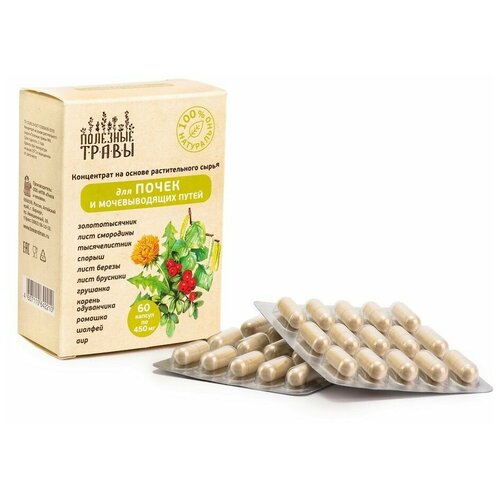 ���� ��� ����� � ������������� �����, ����� 