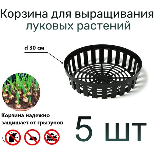 ���� ���� ��� ������� � �������� ���������� �������� ������ ������