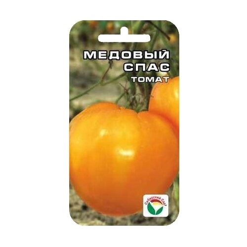 ���� ������ ��������� ��� ����� ������� ���� 20 ��. ������ ������