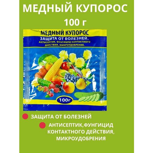 ���� ������ ������� 100� ������ ������