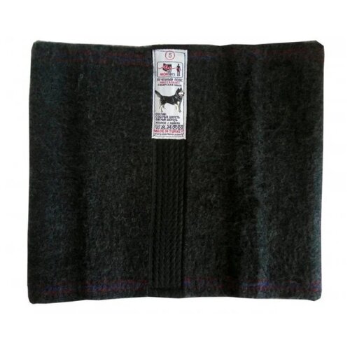 ���� Morteks ���� �� �������� ������ 5, ������ ������ ������