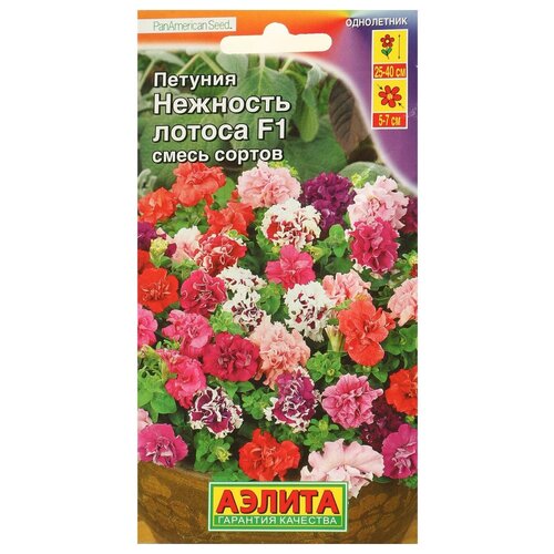 ���� ������ ��������� ������ ������� �������� ������ F1 ��������������� ��������, ����� ������� 10 ��. (����� � ��������) ������ ������