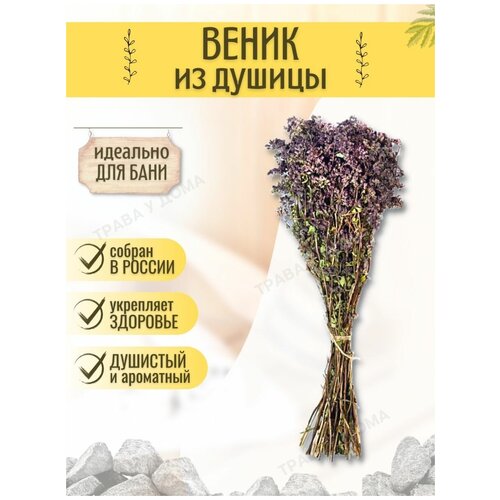 ���� ������ ��� ���� �� ������ 1 �� ������ ������