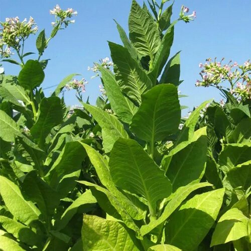 ���� ����� ����������� ��������� 92 0.01 ������ ����� ������� ������ ������ ������