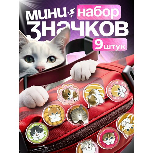 ���� ������ �� ������ ����� ����� ������ ������ ������