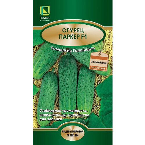 ���� ������ ������ ������ F1 10�� �� ������ (�����) ������ ������