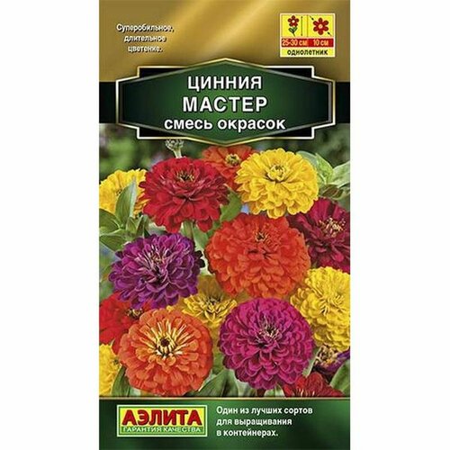 ���� ������ ������ ������, ����� 100% ��������, ����������, (������) 12�� ������ ������