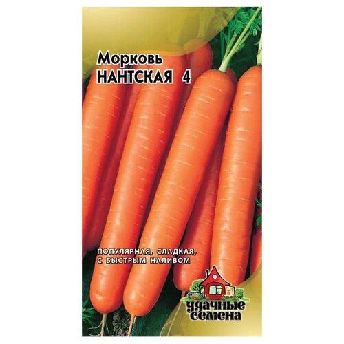 ���� ������ ������ ������� ������ ������� �������� 4 2 �, 10 ��. ������ ������