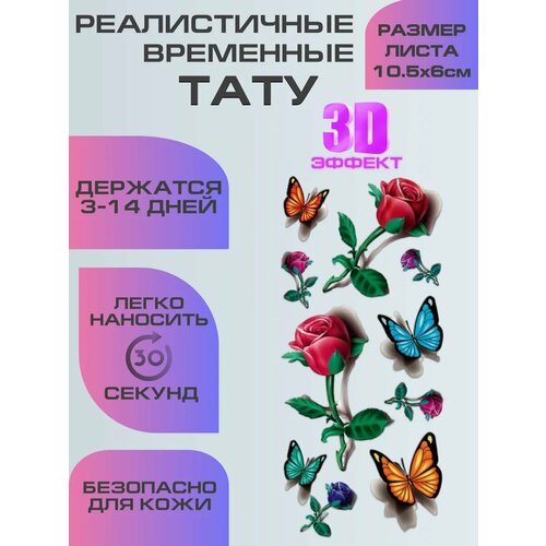 ���� ���� ���������� ��������������, ��������� ���� � 3D �������� ������ ������