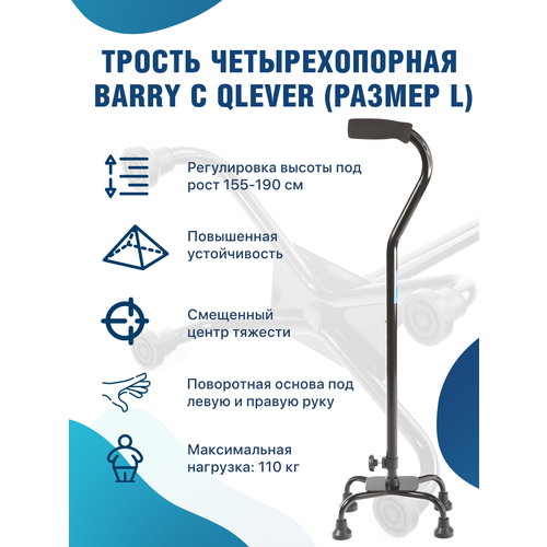 ���� ������ ��� ������ (��������� 31�20 ��) ��� ������� ������ L ������ ������