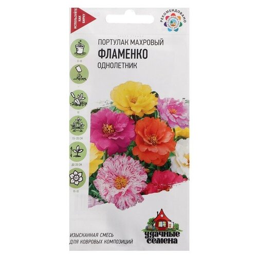 ���� ������ �������� �������� 