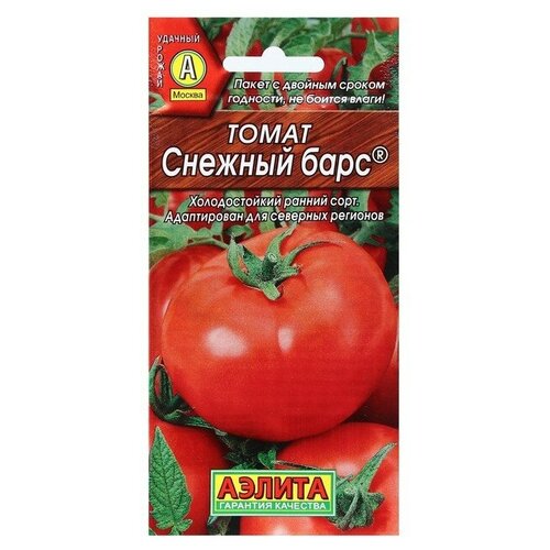 ���� ������. ����� 