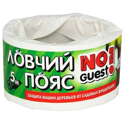  NoGuest!       , 100    -     , -, 