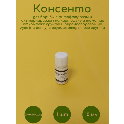 ���� �������� �������� 10 �� �� �������� �������� ������ ������