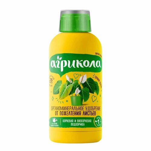 ���� ��������� �� ���������� ������� �������� 250 �� ������ ������