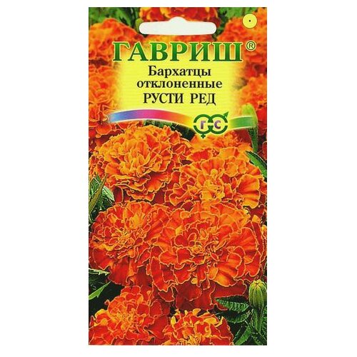 ���� ������ ������ �������� ����������� ����� ��� (�������) 0,3 �, 10 ��. ������ ������