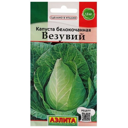 ���� ������ ������� ������������ 