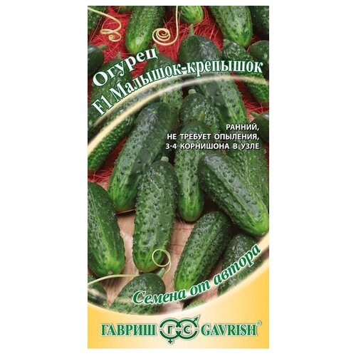 ���� ������ ������ ������ �� ������ ������ �������-�������� F1, �������� 10 ��. ������ ������