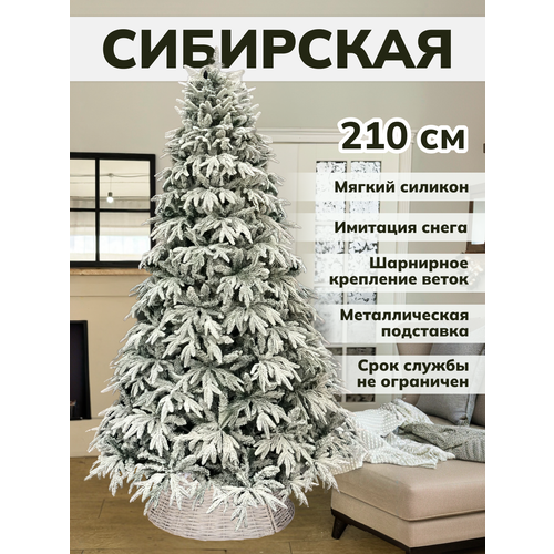 ���� ���� ������������� ����� �� ������ ������ ������� ������ ������