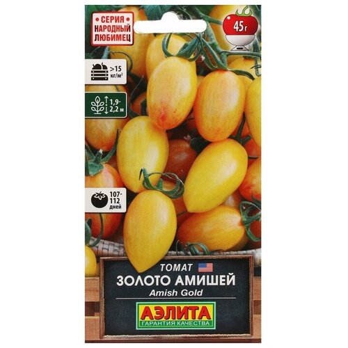 ���� ������ ����� 