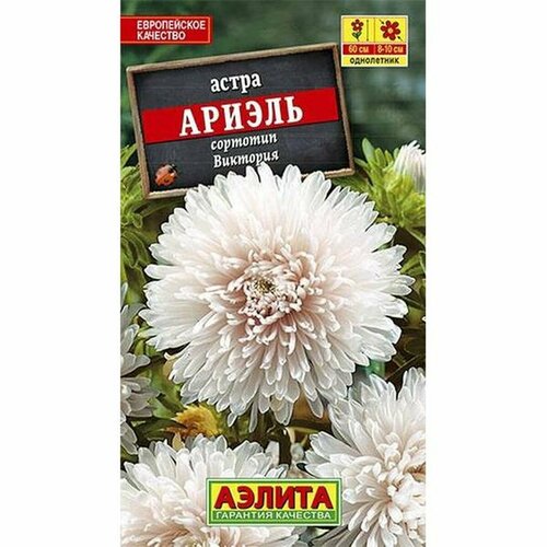 ���� ������ ����� ������ (����������) (������) 0,2� ������ ������