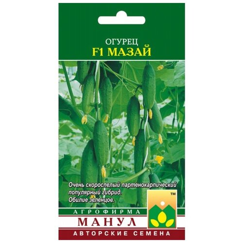 ���� ������ ����� 