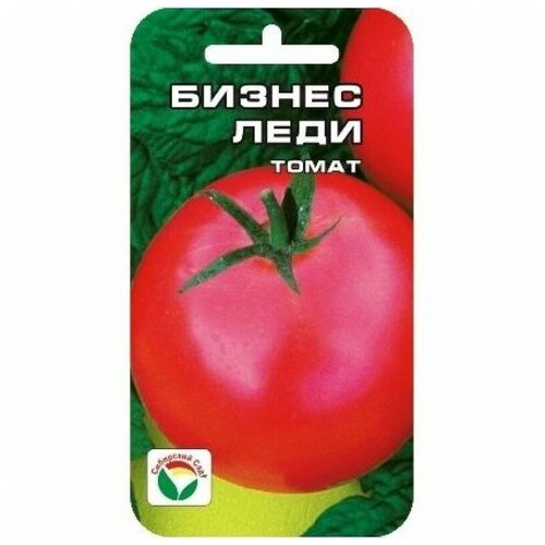 ���� ������ ���� 20�� ����� (��� ���) ������ ������