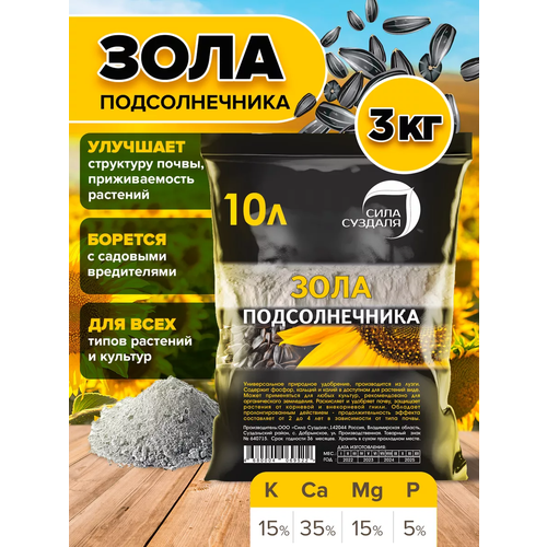 ���� ���� ������������� ������� ��������� 10 � ���� ������� ������ ������